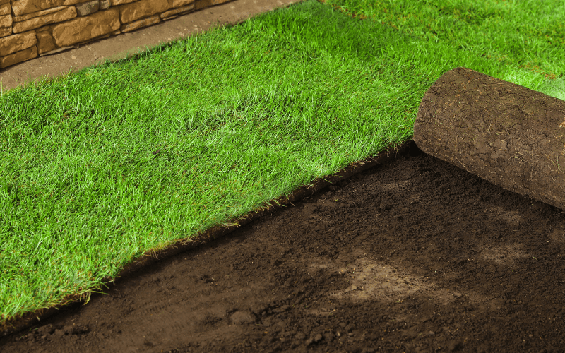 Sod Installation Services in Georgetown, IN